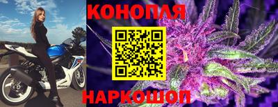spice Краснознаменск