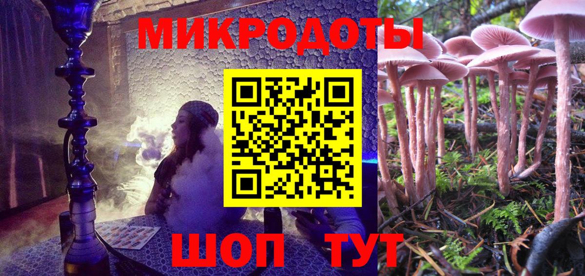 Галлюциногенные грибы прущие грибы Котлас