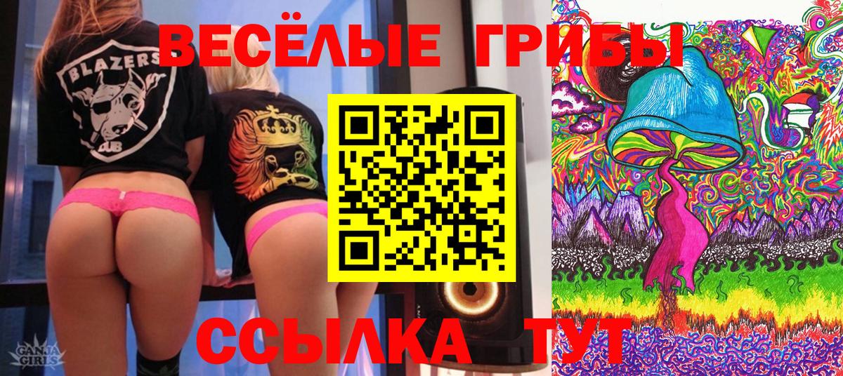 Псилоцибиновые грибы Magic Shrooms  Вход с VPN  Псилоцибиновые грибы Magic Shrooms  Котлас 